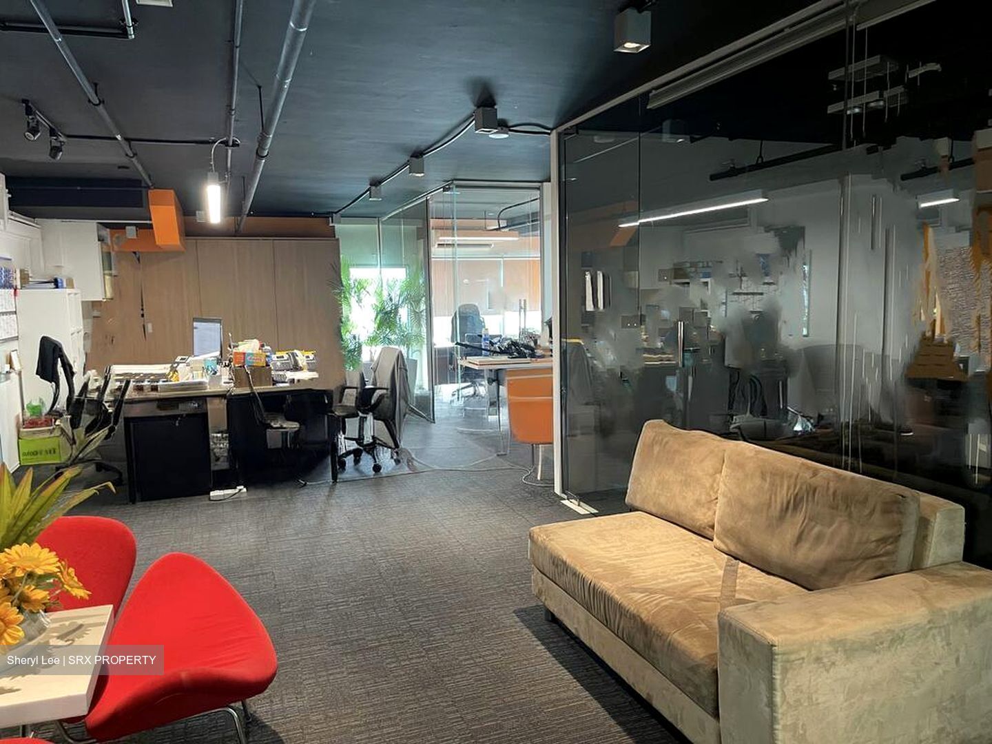 Frontier (D14), Factory #504182221